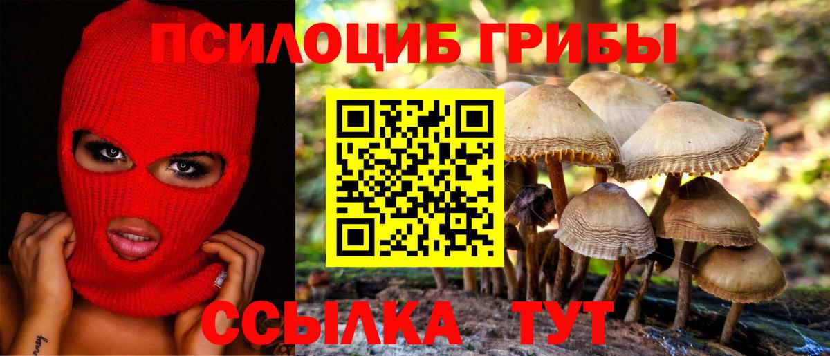 Псилоцибиновые грибы ЛСД Сочи