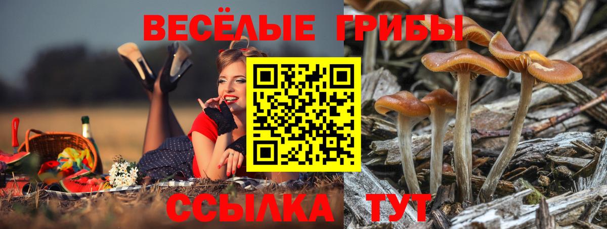 Галлюциногенные грибы ЛСД  Вход с VPN  Сочи  Псилоцибиновые грибы мухоморы 